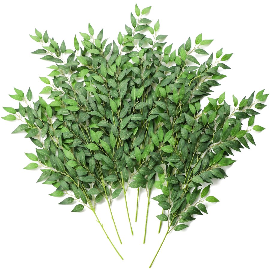 Floroom Italian Ruscus Stems