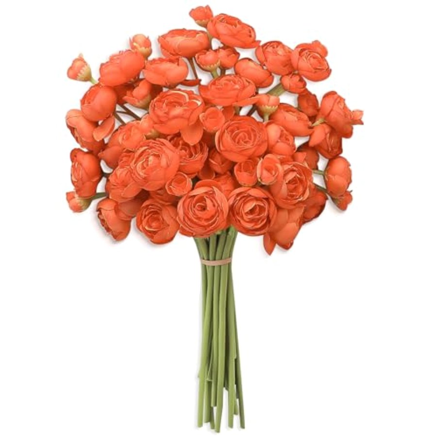 Floroom Ranunculus Stems 2
